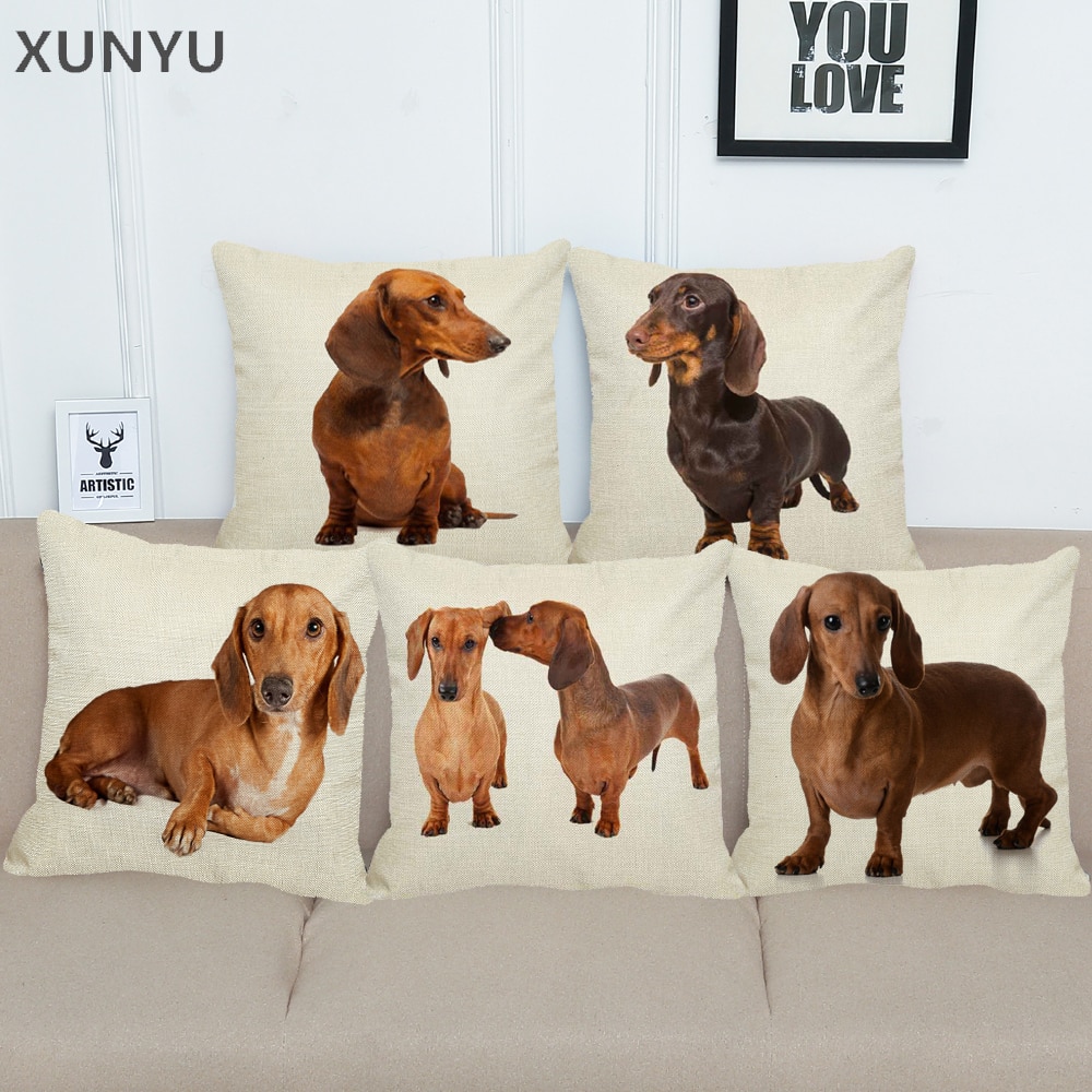 Xunyu ȭ dacshund  pillowcase Ȩ    Ŀ..